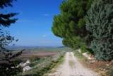 Clicca qui per vedere l'immagine in dettaglio